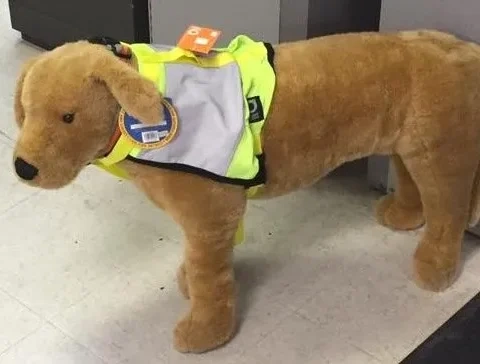 Meet Miles from Up and Running